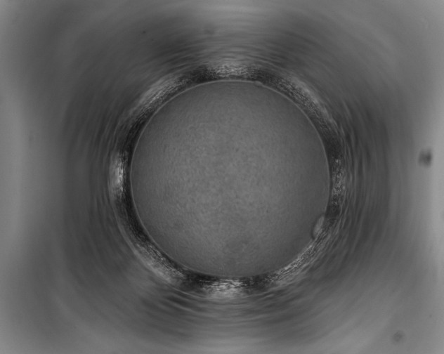 X0000101230124200806271520