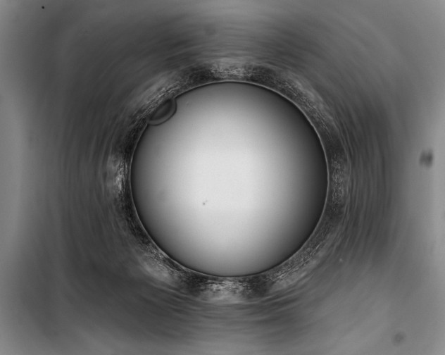 X0000101230125200806271520