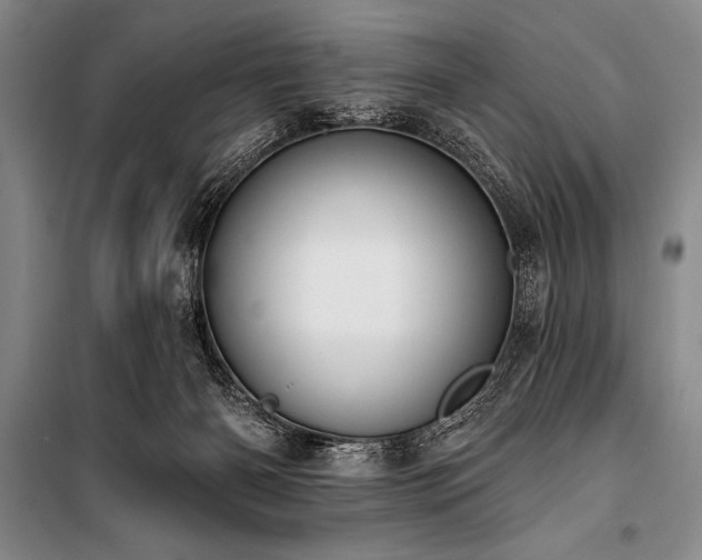 X0000101230126200806271520