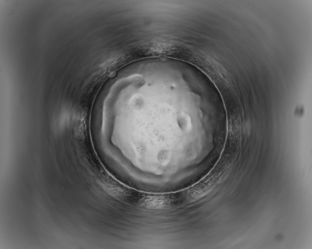 X0000101230127200806271520