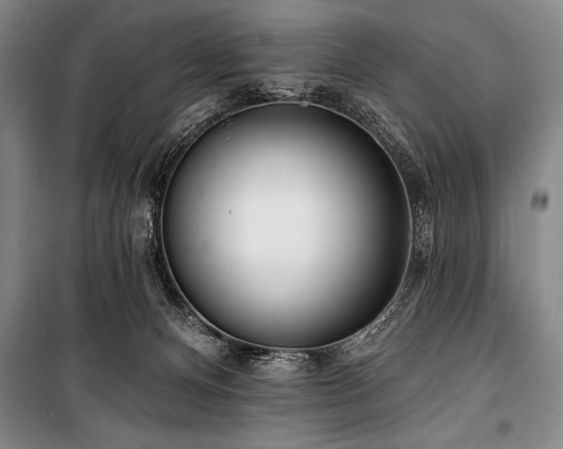 X0000101230128200806271520