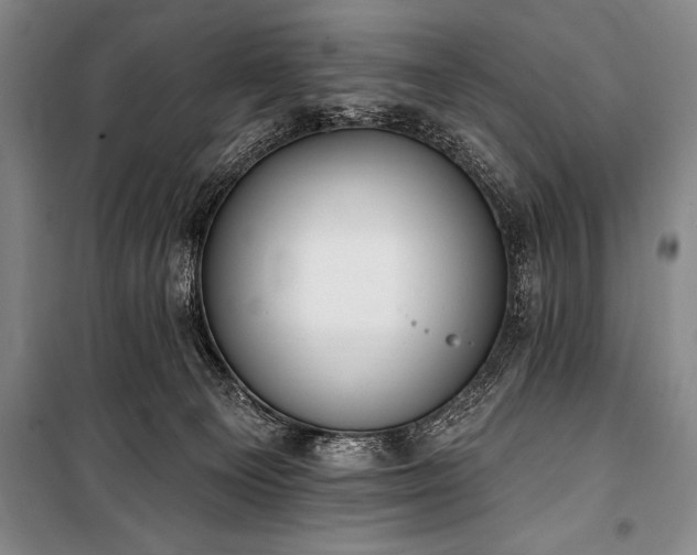 X0000101230129200806271520