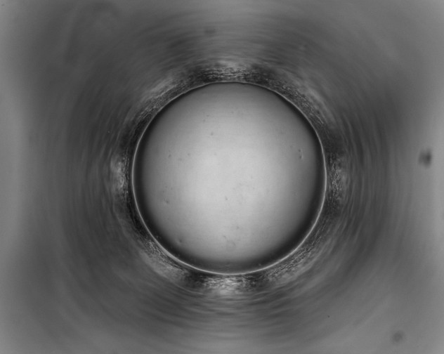 X0000101230131200806271520