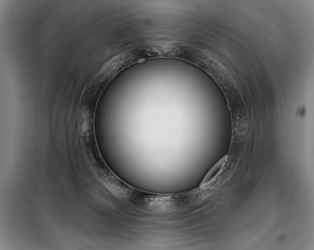 X0000101230132200806271520