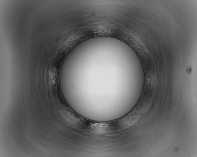 X0000101230133200806271520