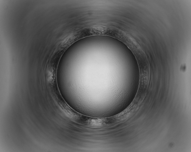 X0000101230134200806271520