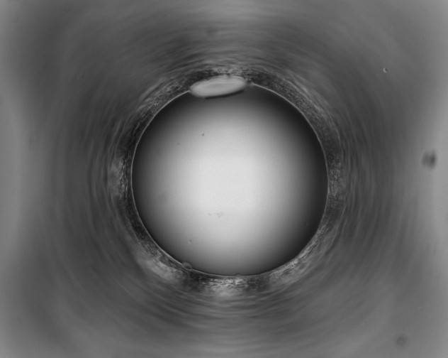 X0000101230136200806271520
