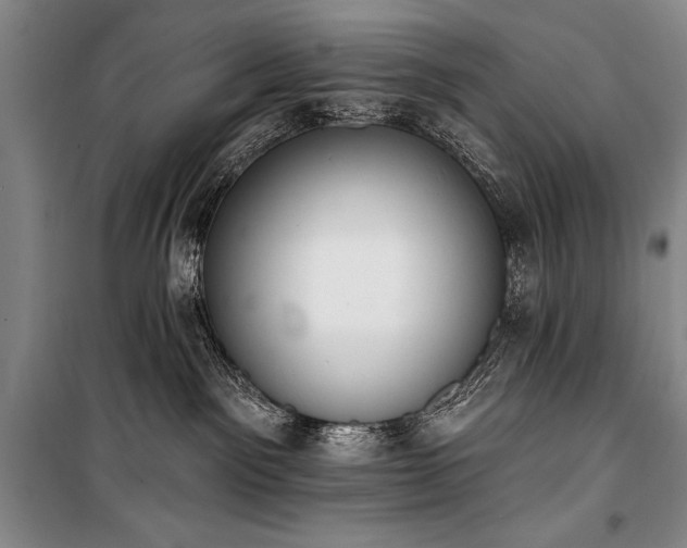 X0000101230141200806271520