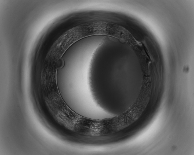 X0000101230143200806271520
