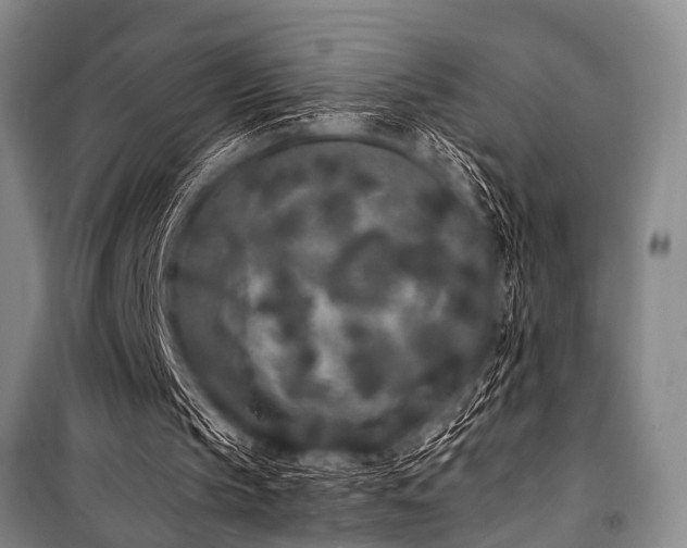 X0000101230145200806271519