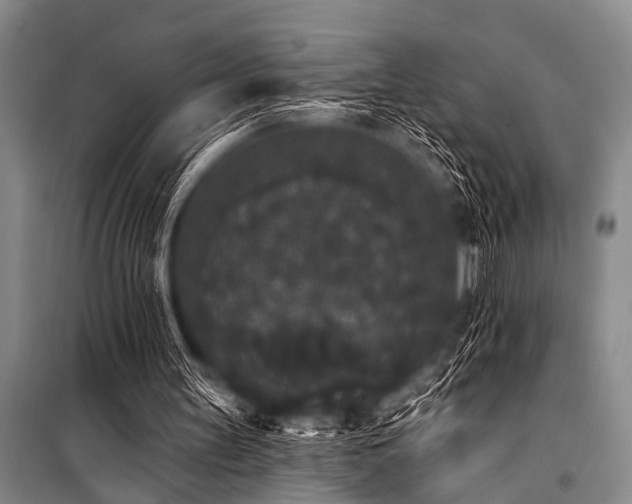 X0000101230147200806271519