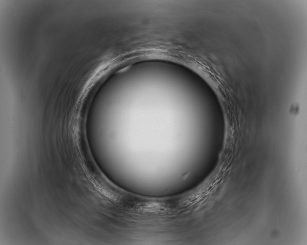 X0000101230151200806271519