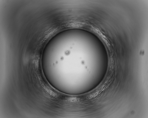X0000101230153200806271519