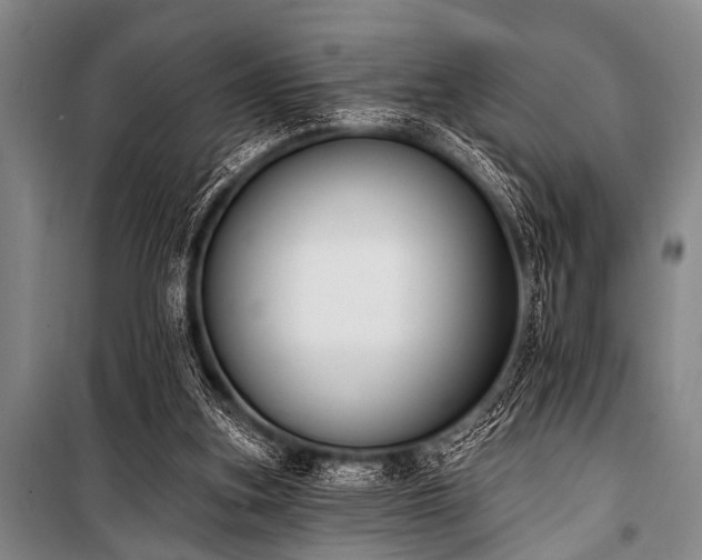 X0000101230155200806271519
