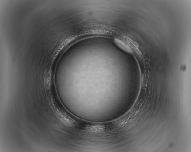 X0000101230156200806271519