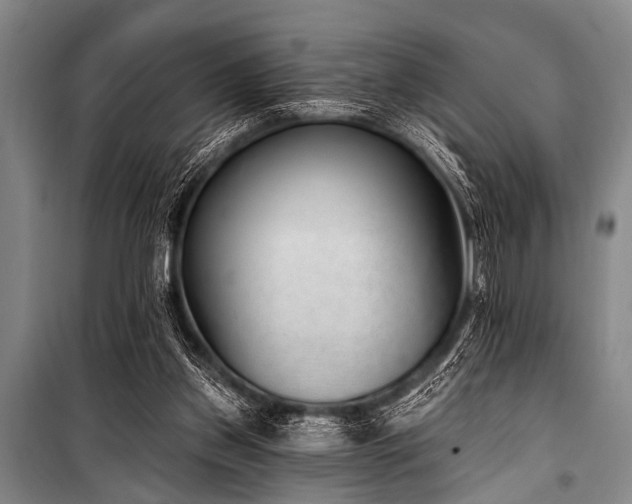 X0000101230157200806271519