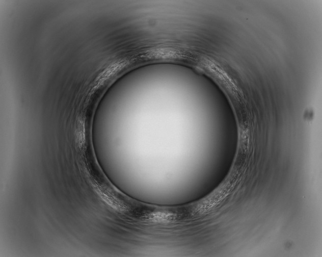X0000101230158200806271519