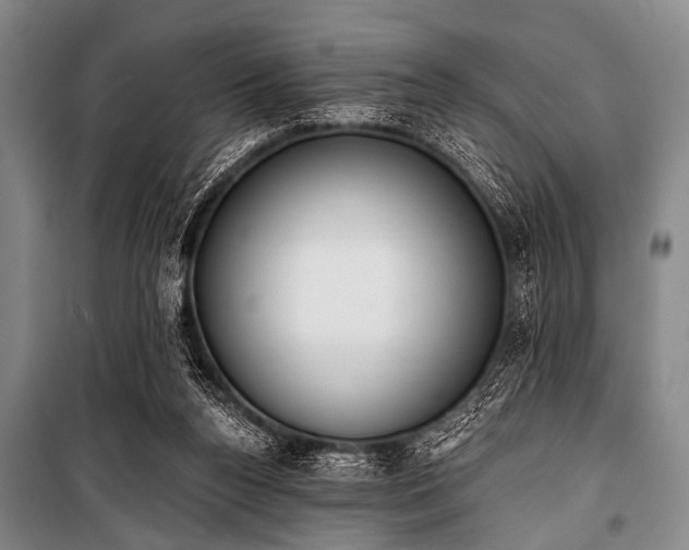 X0000101230160200806271519