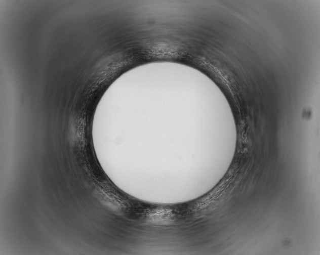 X0000101230162200806271519
