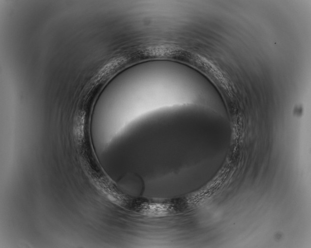 X0000101230163200806271519