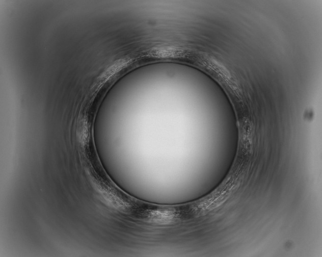 X0000101230164200806271520