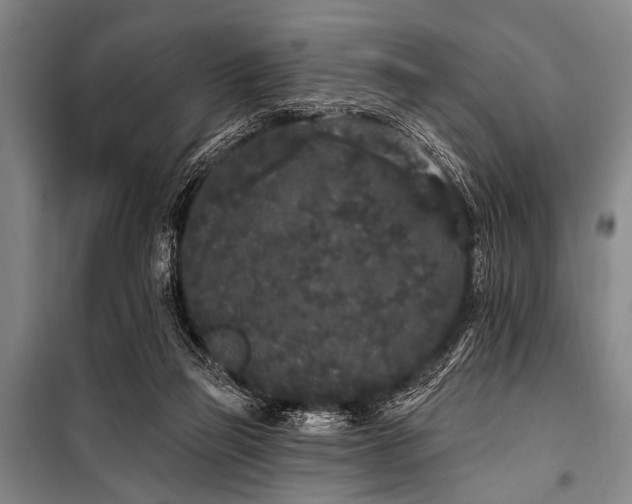 X0000101230165200806271520