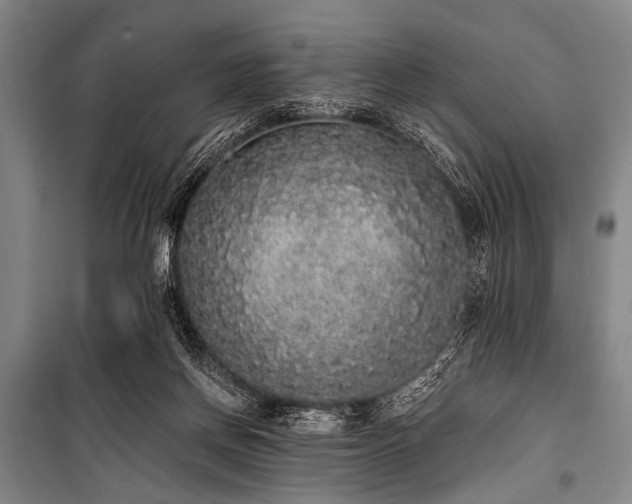 X0000101230166200806271520