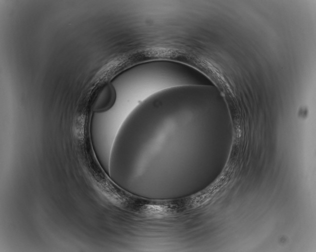 X0000101230167200806271520