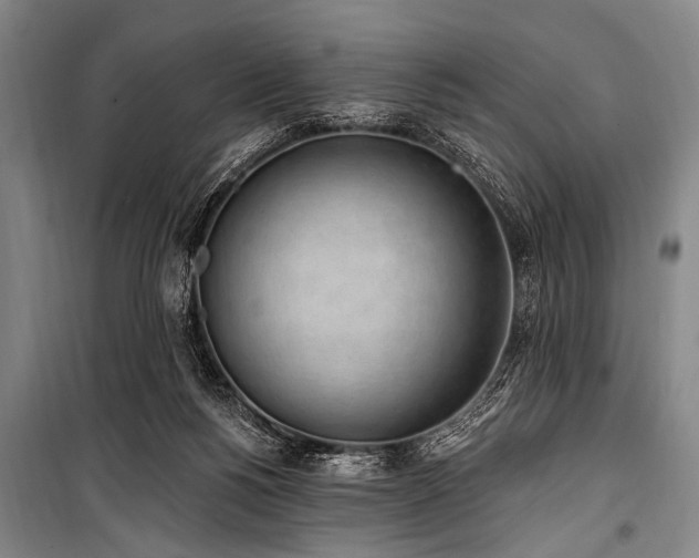 X0000101230168200806271520