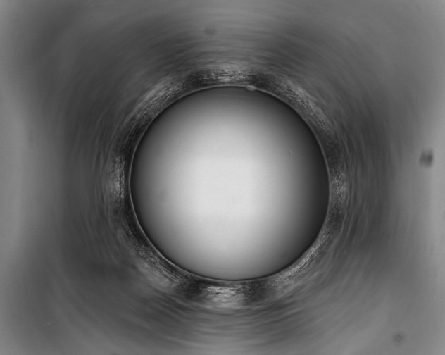 X0000101230170200806271520