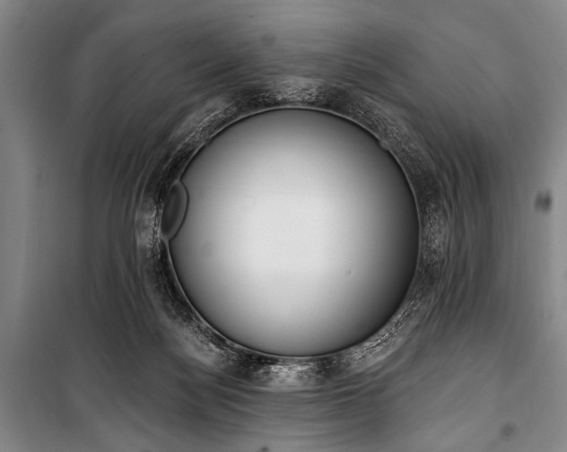 X0000101230172200806271520