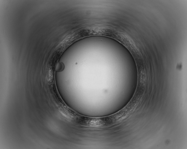 X0000101230173200806271520