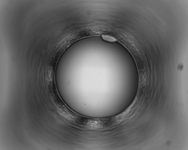 X0000101230174200806271520