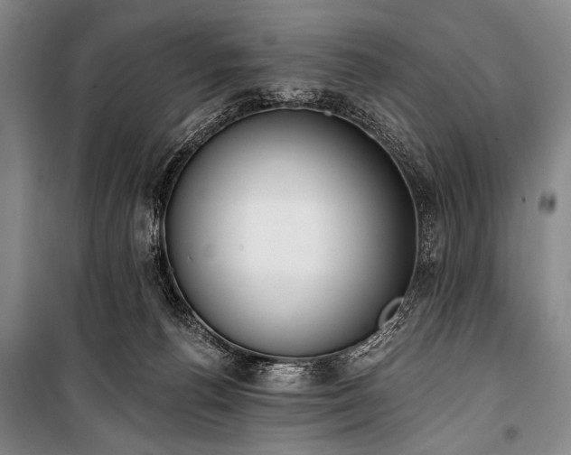 X0000101230176200806271520