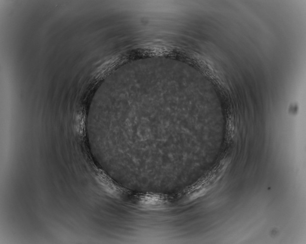 X0000101230177200806271520