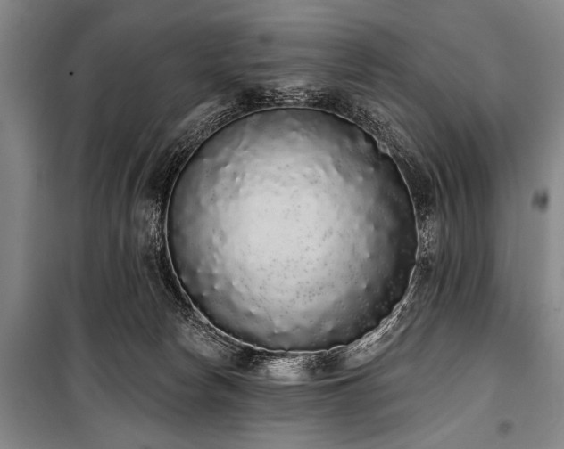 X0000101230178200806271520