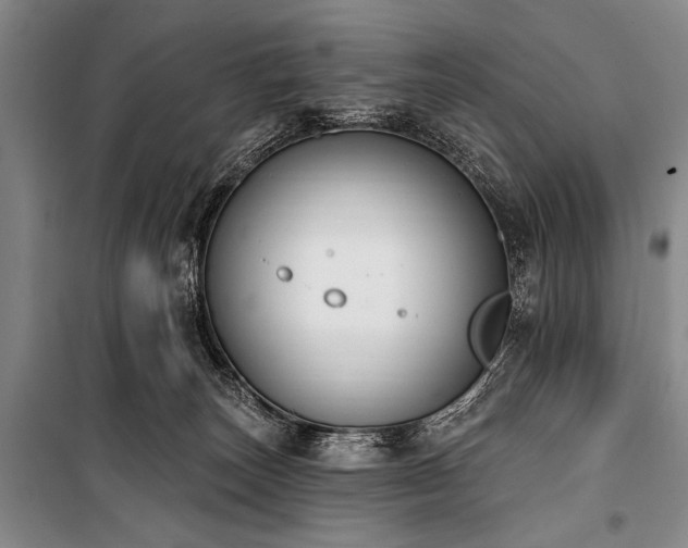 X0000101230179200806271520