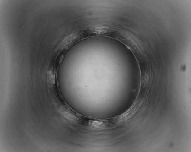 X0000101230180200806271520