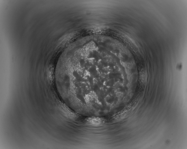 X0000101230181200806271520