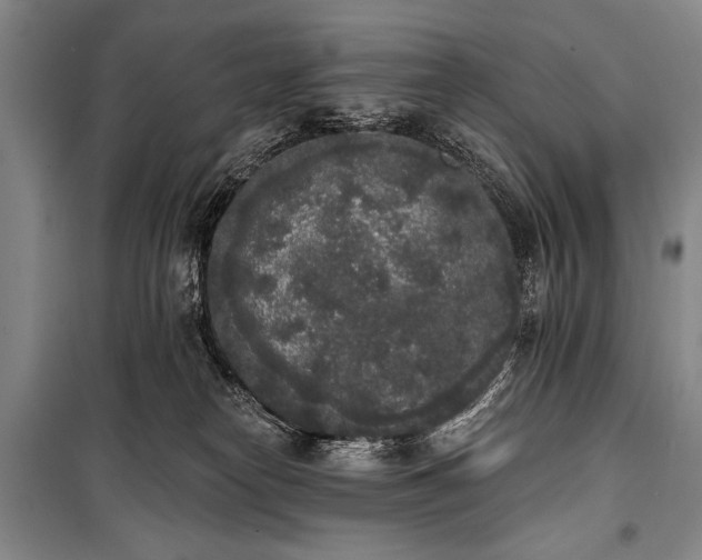 X0000101230182200806271520