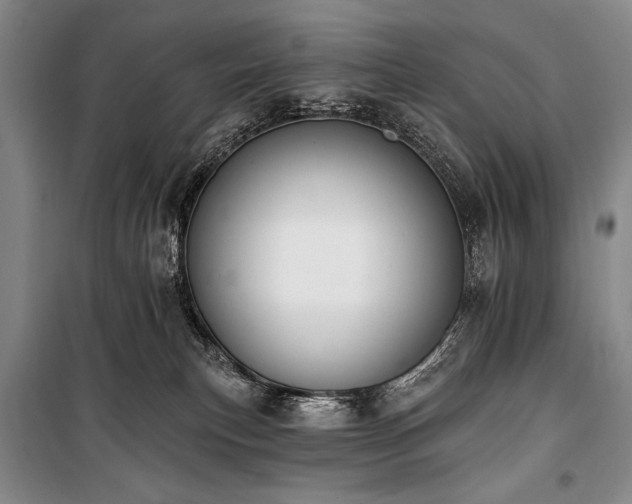 X0000101230183200806271520