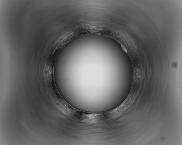 X0000101230184200806271520