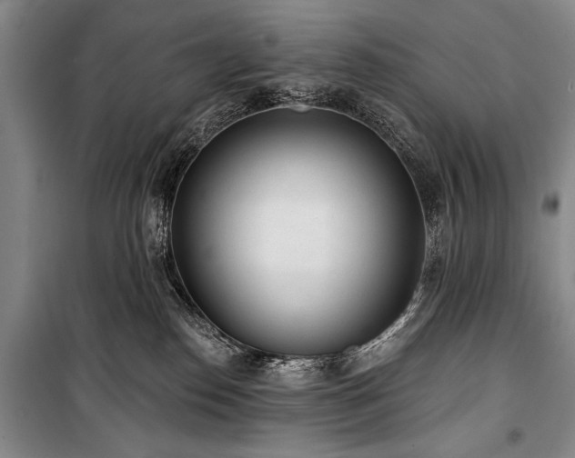 X0000101230186200806271520