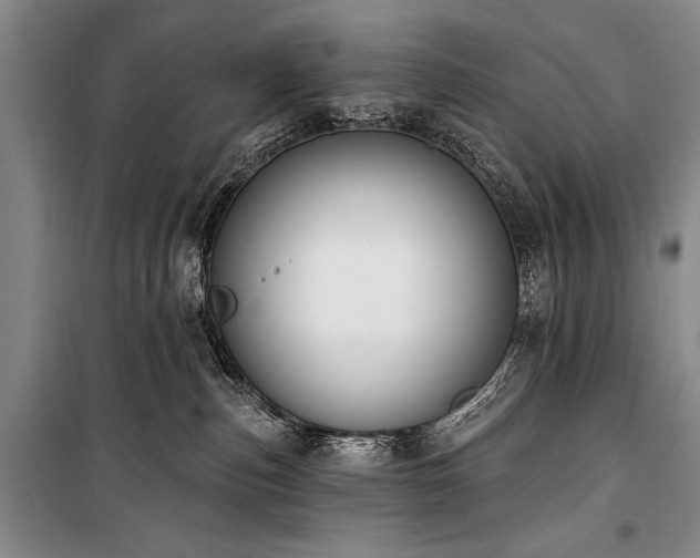 X0000101230187200806271520