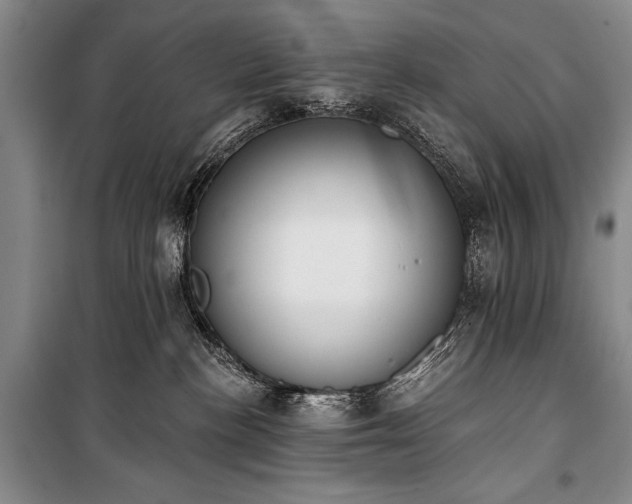 X0000101230188200806271520