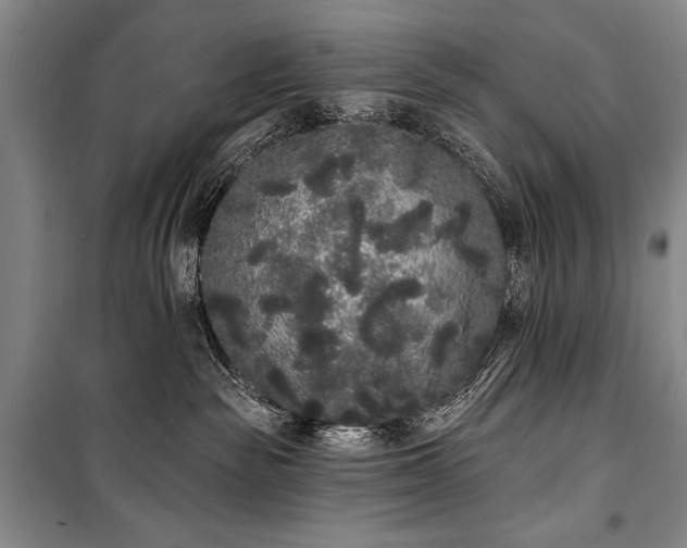 X0000101230189200806271520
