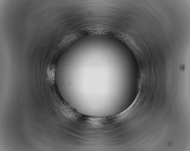 X0000101230190200806271520