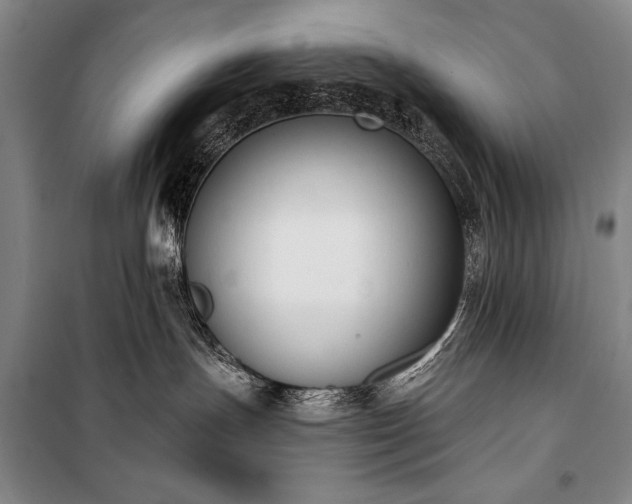 X0000101230191200806271520