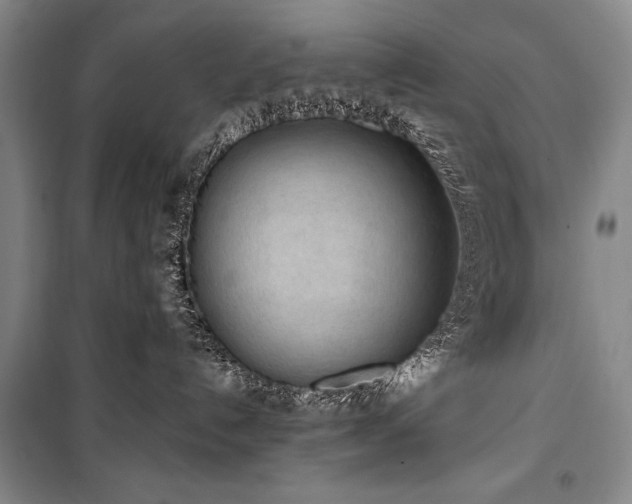 X0000101230192200806271520