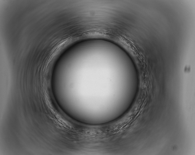 X0000101230193200806271519